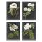Stupell Industries Gray with White Cottage Florals Framed Wall Art, 4ct.